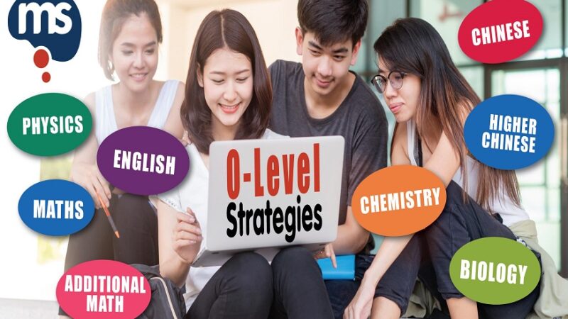 Effective Strategies for Getting Ready for the English O Levels