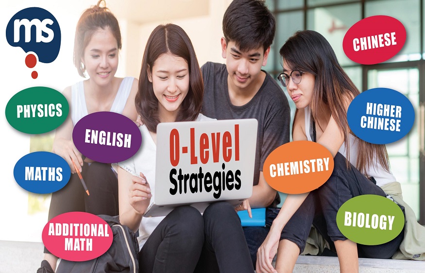 Effective Strategies for Getting Ready for the English O Levels